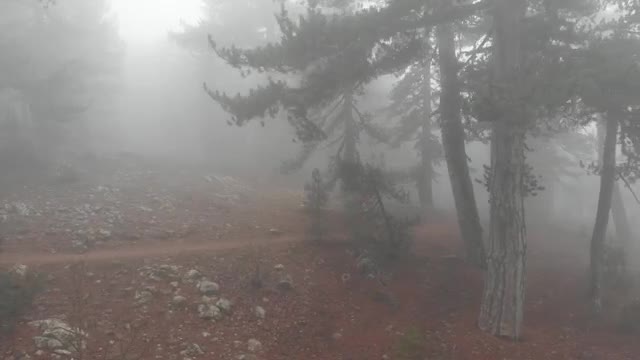 Atmospheric Haze / Fog example